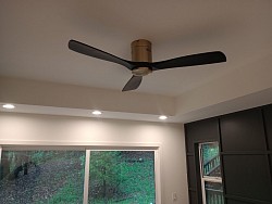 Ceiling fan