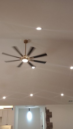 Ceiling fan